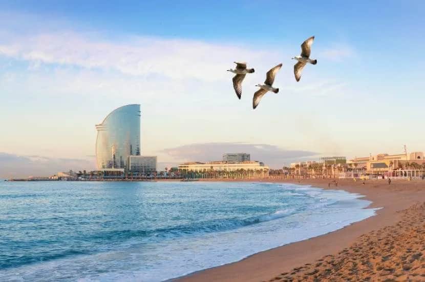 Ile trwa lot z Wrocławia do Barcelony? Czas, który musisz znać