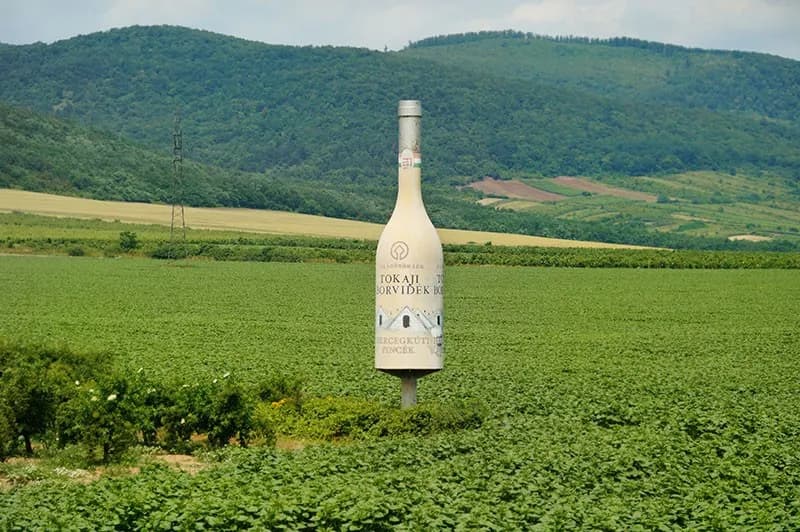 Najlepsze atrakcje w Tokaju: Odkryj wino i dziedzictwo UNESCO