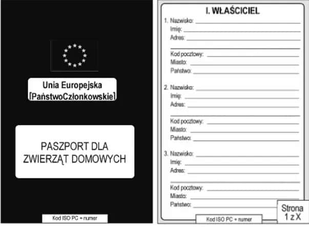 Jak wygląda paszport dla psa? Zobacz jego szczegóły i wymiary