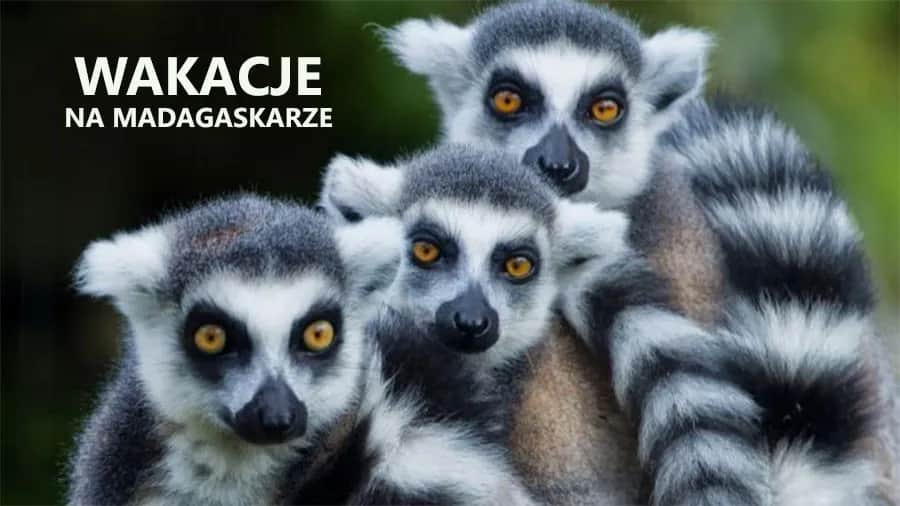 Czy na Madagaskarze jest bezpiecznie? Oto, co musisz wiedzieć przed wyjazdem